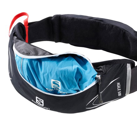 Ledvinka Salomon Agile 500 surf the web 