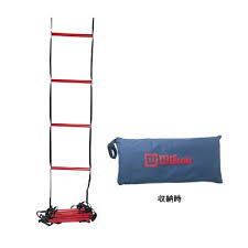 Wilson Training Ladder Z2542
